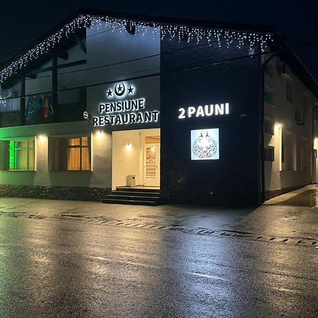 Pensiune Restaurant Pizzerie 2 Pauni Borşa Eksteriør billede